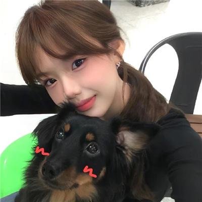 犬之力